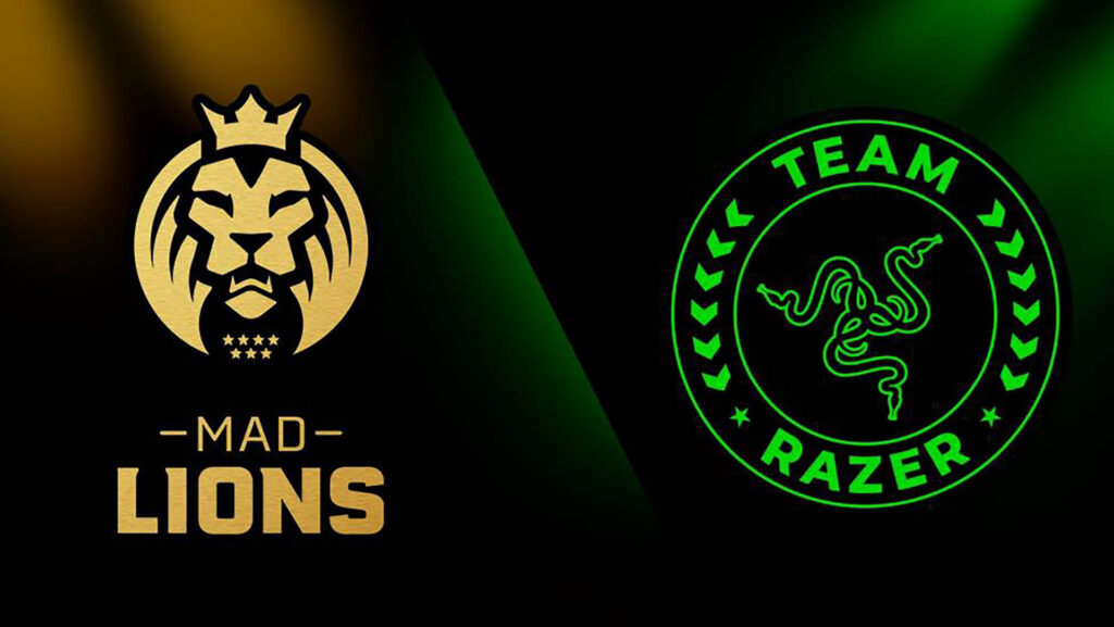 mad_lions_team