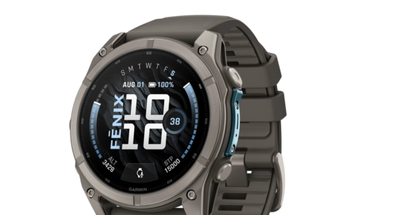 Garmin Felix 9