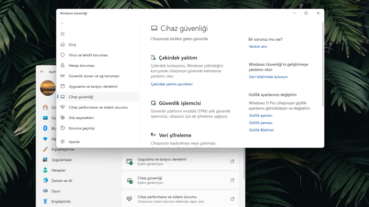 Oyunların Performansını Düşüren Windows Güvenlik Ayarının Kapatılması
